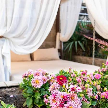 Zdravets מלון 4*