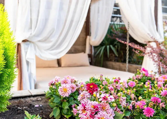 Zdravets מלון 4*