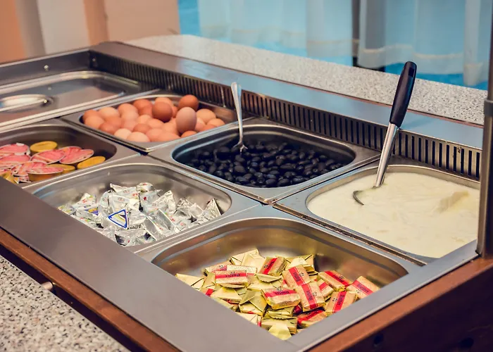 מלון Zdravets 4*