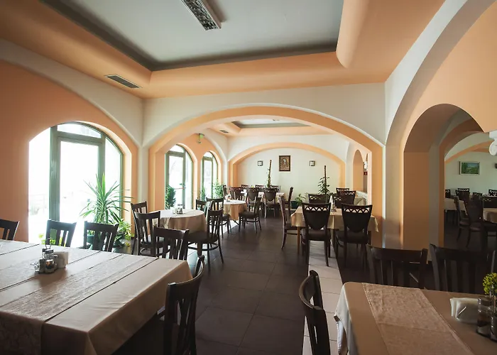 מלון Zdravets 4*